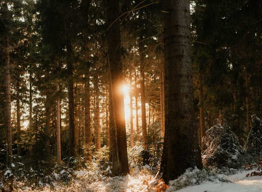 Kent, WA Funeral Home and Cremations